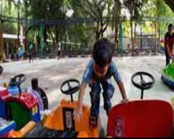 Children's Zoo, rides, and playground are also available for young visitors Children's Zoo, rides, and playground are also available for young visitors.